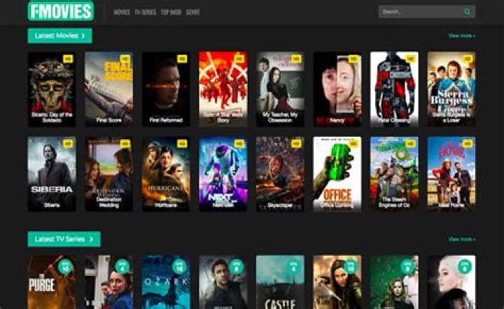 The Best Genres for Free Movie Nights on FMovies.to