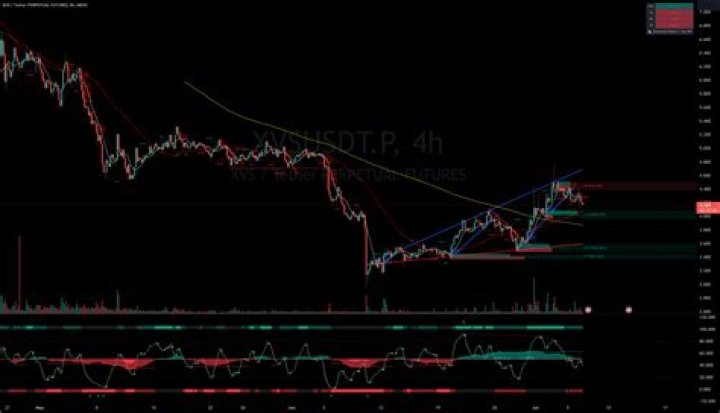 The Best Ways to Build Your Watchlist on UpMovie