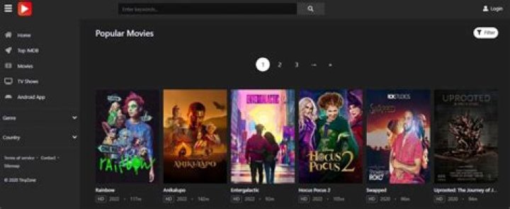 How to Stream Movies for Free on TinyZone.tv Without Ads