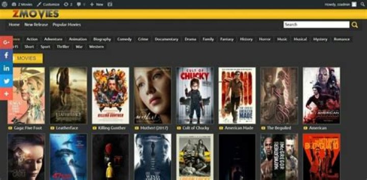 How to Stream Movies for Free on Zmovie Without Ads