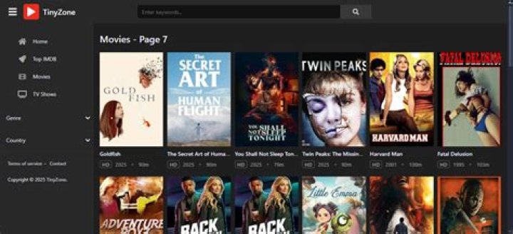 How to Stream Movies Safely and Quickly on Sites Like TinyZone
