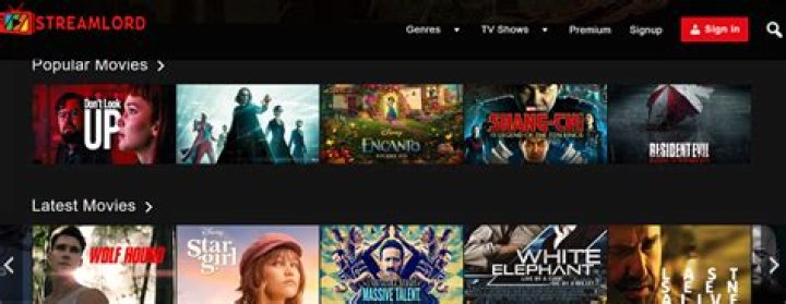 Hidden Gems: Underrated Movies You Can Find on StreamLord-Style Platforms