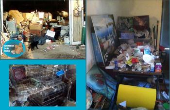 Animal Hoarders Clean Up